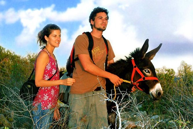 Sunset Pacific Donkey Hiking Tour - Tour logistics that matter: pickup, private groups, and timing