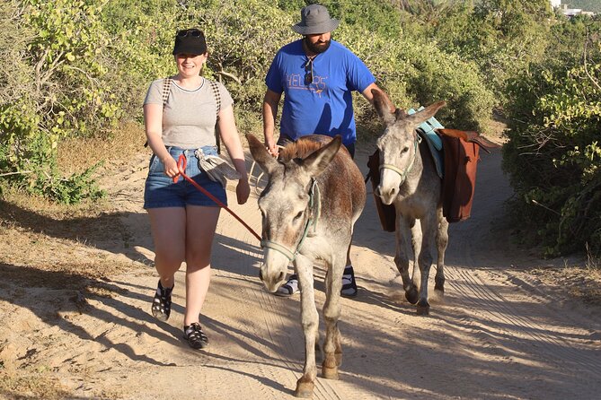Sunset Pacific Donkey Hiking Tour - What to bring and how to prepare for donkey-led walking