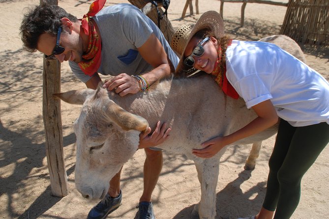 Sunset Pacific Donkey Hiking Tour - Picking your departure time: 9:30am vs 12:30pm vs 3:30pm