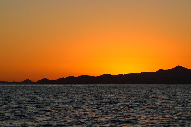Sunset Whale Watching in San Jose del Cabo - Who this tour is best for (and who may want a different plan)