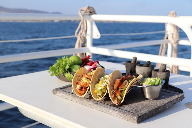 Tacos buffet & Open Bar Cruise! Los Cabos Round Transportation - Seasickness and comfort: don’t tough it out