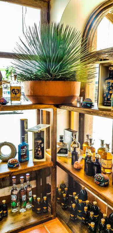 Tequila & Mezcal Tasting Experience - When to go: morning, afternoon, or evening