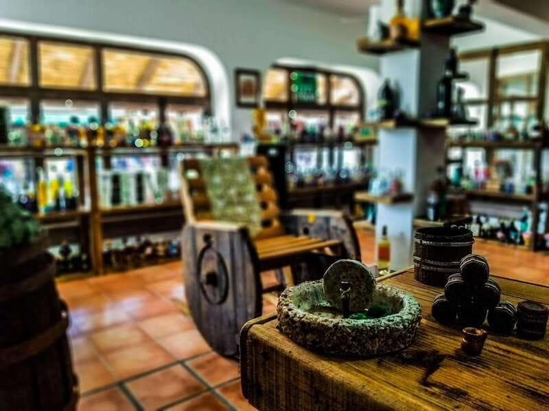 Tequila & Mezcal Tasting Experience - Where this Cabo tasting fits in (and why location matters)