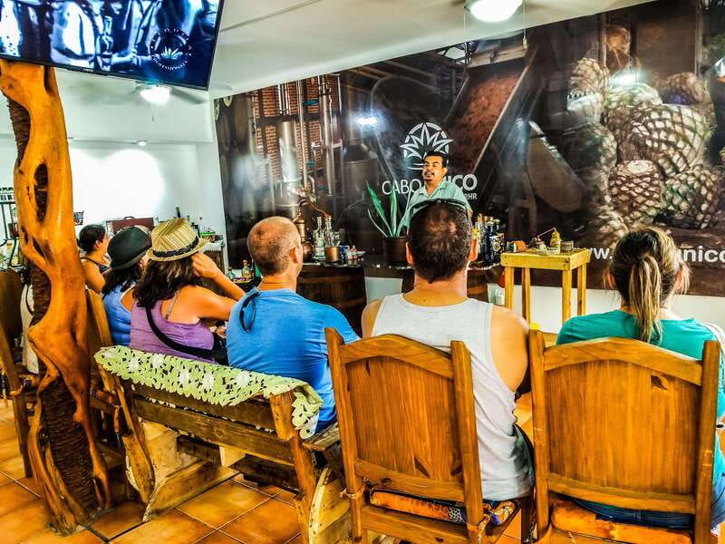 Tequila & Mezcal Tasting Experience - How the guide turns sipping into a skill