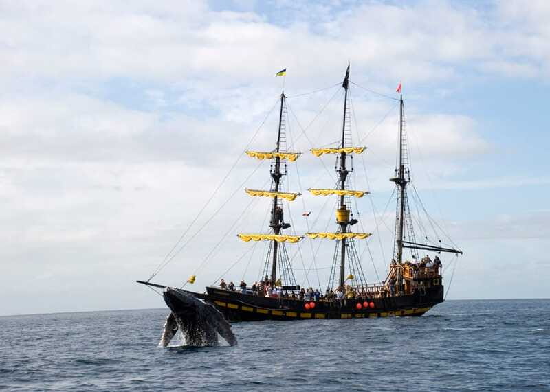 Thar She Blows! Whale Watching Pirate Cruise - When Things Go Wrong: A Real-World Planning Tip