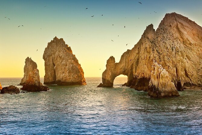 The Arch of Los Cabos Glass-bottom boat tour - Price and logistics: the real value (and the small extras)
