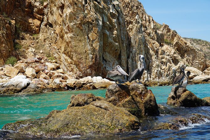 The Arch of Los Cabos Glass-bottom boat tour - El Arco de Cabo San Lucas: why the photo stop is only the start