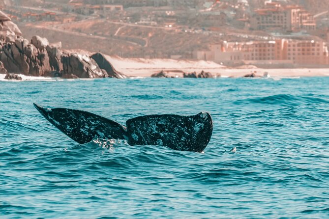 The Finest Private Yacht Experience in Cabo - The Crew Makes the Day: Carlos and Jesus, Allen and Abelardo, and On-Water Care