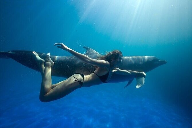The only Natural Space Dolphin Encounter in Cabo Optional Pickup! - Key highlights to know before you go
