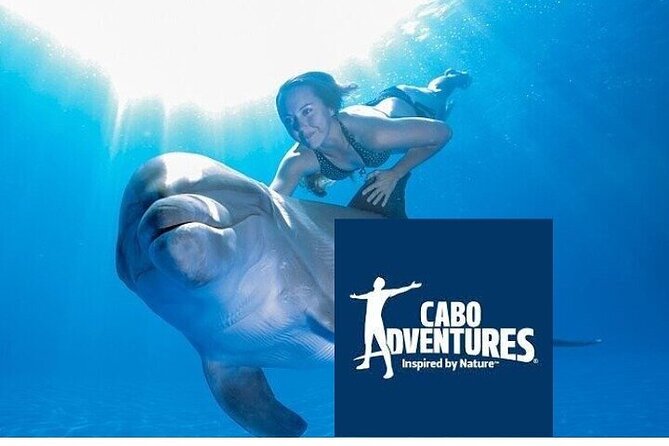 The only Natural Space Dolphin Encounter in Cabo Optional Pickup! - What makes this a natural-space dolphin encounter in Cabo