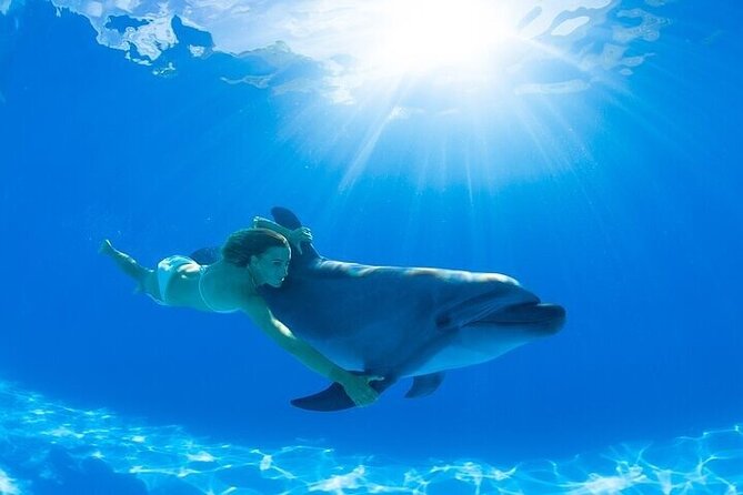 The only Natural Space Dolphin Encounter in Cabo Optional Pickup! - Who this suits best in Cabo (and who may want a different plan)