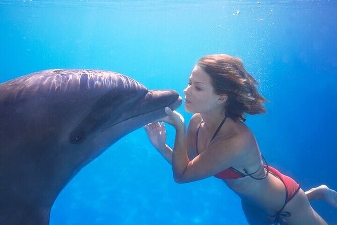 The only Natural Space Dolphin Encounter in Cabo Optional Pickup! - The flow of the day: pickup, facility time, and how long it lasts