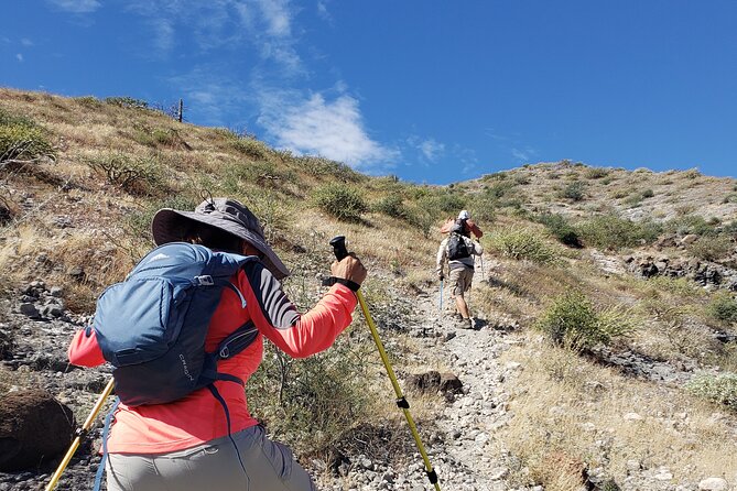 The Ultimate Camel Safari Experience in Los Cabos - Quick hits before you book