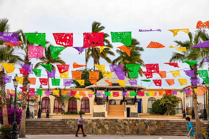 Todos Santos City Tour - Key highlights worth planning for
