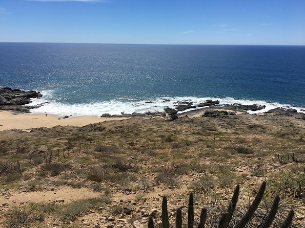 Todos Santos Day Trip from Cabo San Lucas - Gallery Time and the Art Walk: Browsing With a Guide
