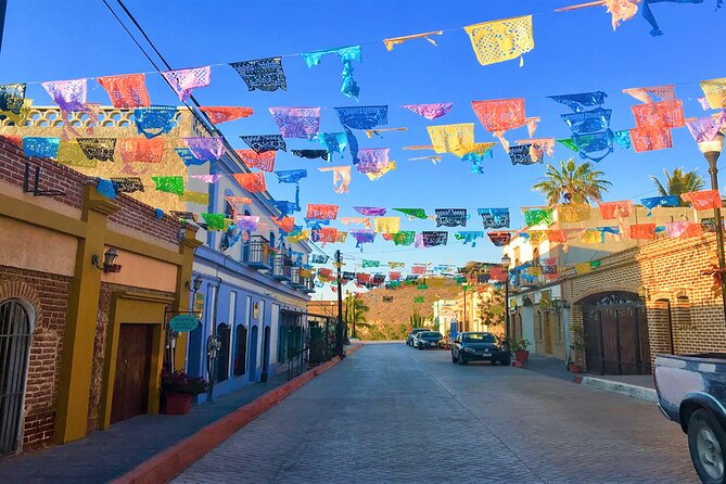 Todos Santos Magical Town Guided Tour - Who This Tour Fits Best (and Who Might Want Another Option)