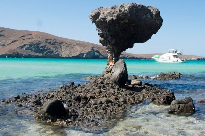 Tour to Playa La Paz from Cabo San Lucas - Key highlights you’ll care about