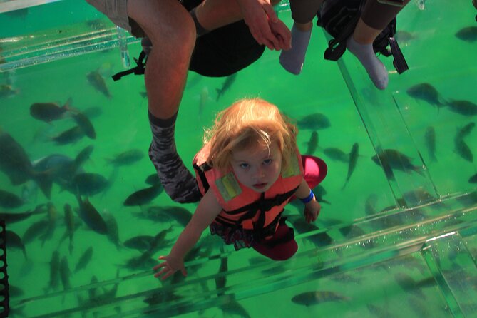Tour to the Arch of Cabo San Lucas in a transparent glass boat - Hacienda Tequila Tasting: Learning While You Sip
