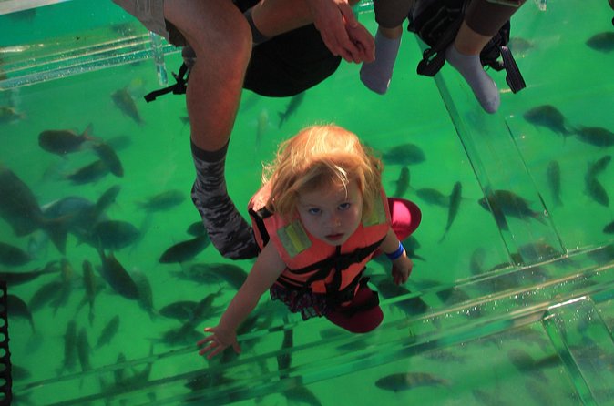 Tour to the Arch of Cabo San Lucas in a transparent glass boat - Price and Overall Value for a Short 2-Hour Tour