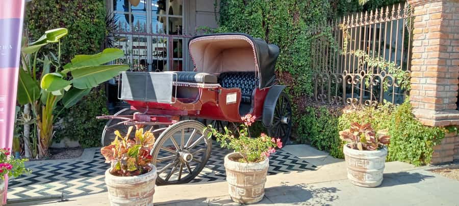 Tour Todos Santos Magical Town, Hotel California - Getting From Los Cabos to Todos Santos Without Stress