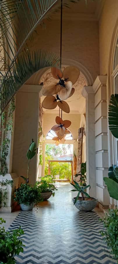 Tour Todos Santos Magical Town, Hotel California - Blanket Factory + Glass Crafts: What You’re Really Buying