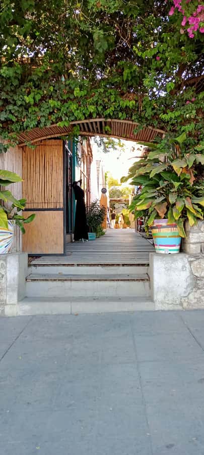 Tour Todos Santos Magical Town, Hotel California - Playa Cerritos: Panoramic Views and a Calm Coast Finish