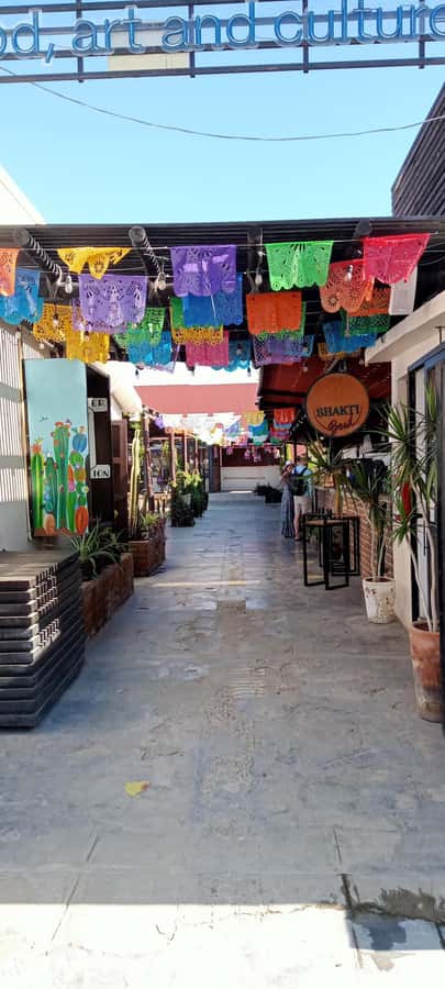 Tour Todos Santos Magical Town, Hotel California - Price and Value: Is $350 Worth It?
