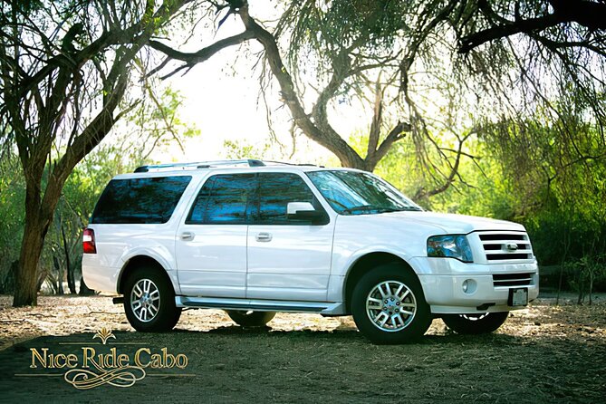 Transportation from Airport to Cabo: Zone 2 - Finding Your Driver at SJD Without the Usual Airport Headache