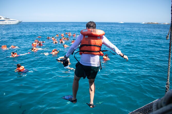 Treasure Hunt Snorkeling Lunch Cruise from Cabo San Lucas - Price and Logistics: What You’ll Pay Beyond the $99