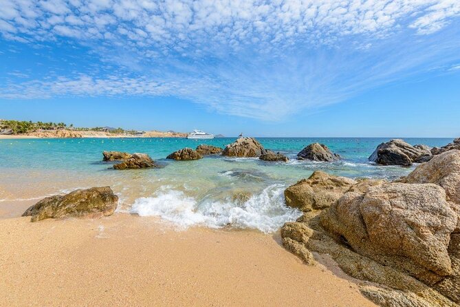 unforgettable snorkeling activity in The Sea of Cortes - Key highlights worth planning for