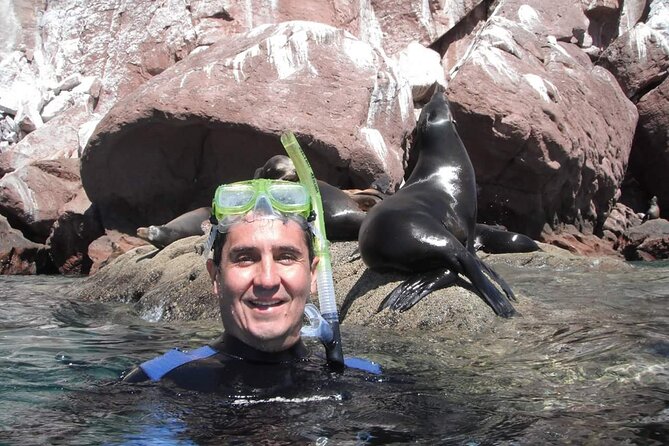 unforgettable snorkeling activity in The Sea of Cortes - Sea of Cortes snorkeling at Playa el Chileno: why this stop matters