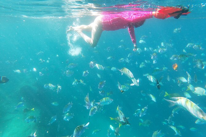 unforgettable snorkeling activity in The Sea of Cortes - Snorkeling gear that reduces hassle: vests and well-fitting masks
