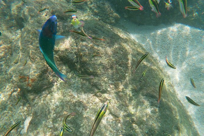 unforgettable snorkeling activity in The Sea of Cortes - The itinerary around Playa el Chileno: how the 4 hours tends to feel
