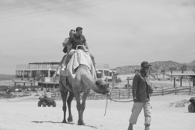 Unique experience on Sky Bike, Atv and Camels from Cabo San Lucas - Rules and Safety: The Non-Negotiables Before You Show Up
