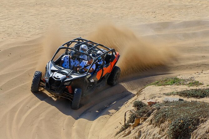 UTV 4X4 Cabo Adventure, Beach Ride & Tequila Tasting - Price and Logistics: The Real Cost of the $99.74 Ticket