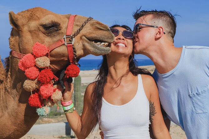 UTV Adventure with Free Camel Ride and Sky Bikes - Price and value: where the $175 really goes