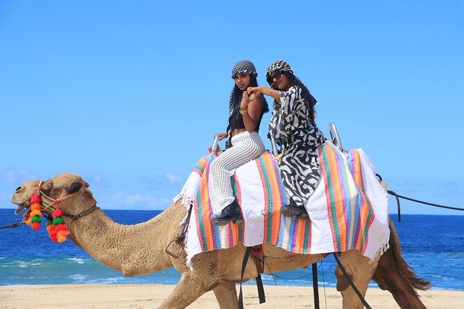 UTV Adventure with Free Camel Ride and Sky Bikes - Sky bikes and ecological hike: high views and a bit of walking