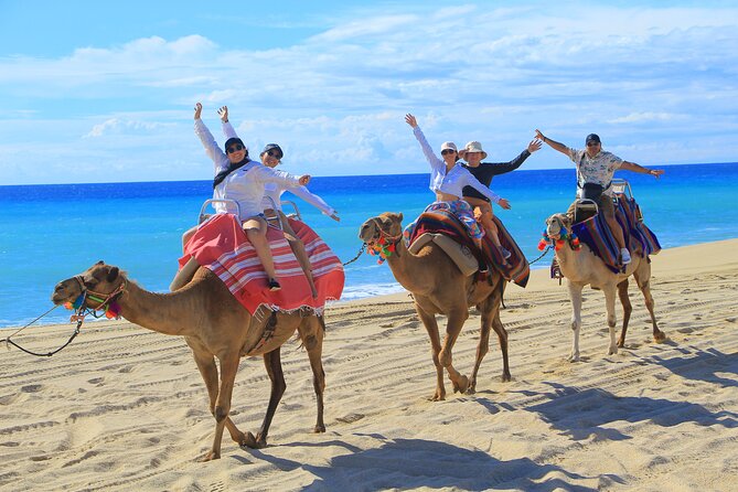 UTV Adventure with Free Camel Ride and Sky Bikes - Tequila tasting: small culture moment, not a whole detour