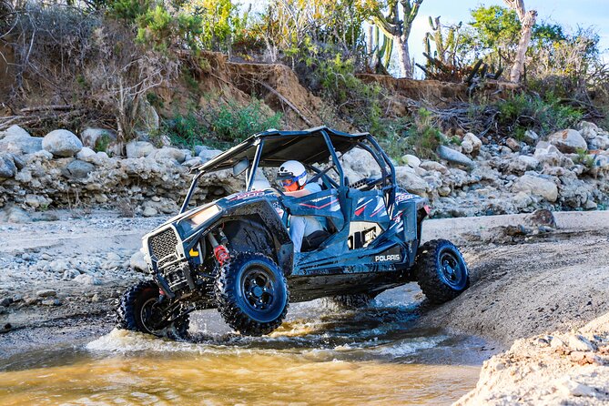 UTV and Camel Ride in the Cabo Desert - UTV + Camels in the Cabo Desert: What You’re Really Buying