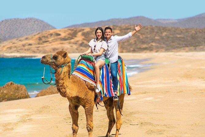 UTV and Camel Ride in the Cabo Desert - The UTV Portion: Sand Dunes, Desert Vegetation, and Ocean Views