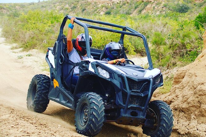 UTV and Camel Ride in the Cabo Desert - The Transition: Bathroom Stop and a Clear Switch to Camels