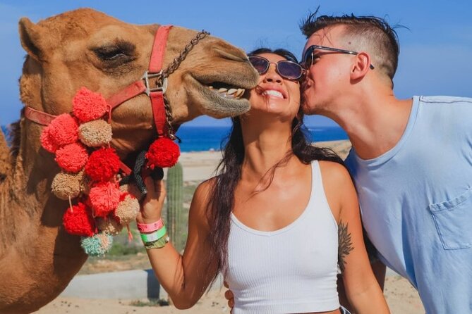 UTV and Camel Ride in the Cabo Desert - The Camel Ride: Short, Friendly, and Built for Photos