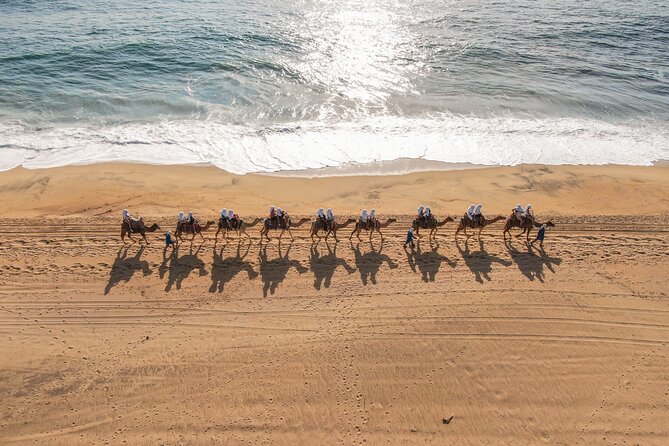 UTV and Camel Ride in the Cabo Desert - Who This Tour Fits Best (and Who Might Want Another Option)