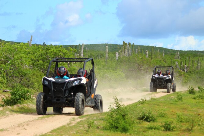 Viper Trail UTV Small-Group Experience in Cabo San Lucas - Key things that make Viper Trail UTV worth your time