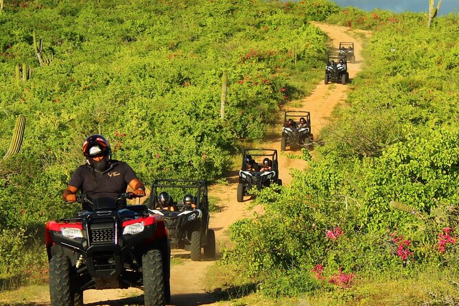 Viper Trail UTV Small-Group Experience in Cabo San Lucas - Who this UTV tour fits best (and who should rethink it)