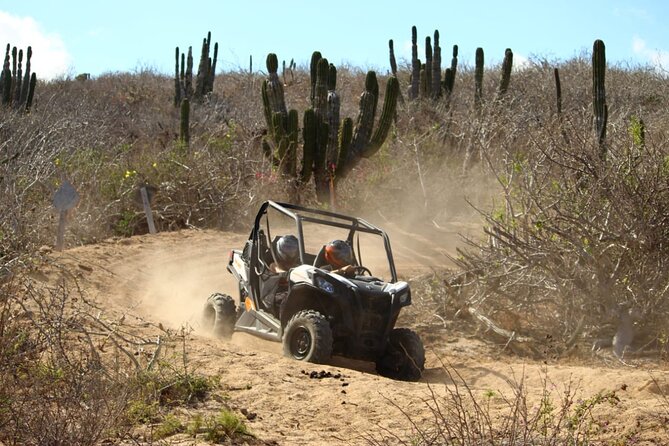 Viper Trail UTV Small-Group Experience in Cabo San Lucas - Value in plain terms: what you’re really paying for