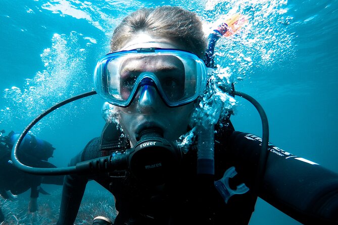 Whale and Dive Combo Tour in Los Cabos - 6:30 am in Cabo: The Logistics You’ll Want to Think About