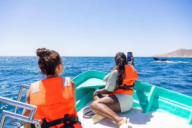 Whale Tour, Arch, Professional Photos & Hydrophone - A 2-hour Cabo whale tour that actually feels guided
