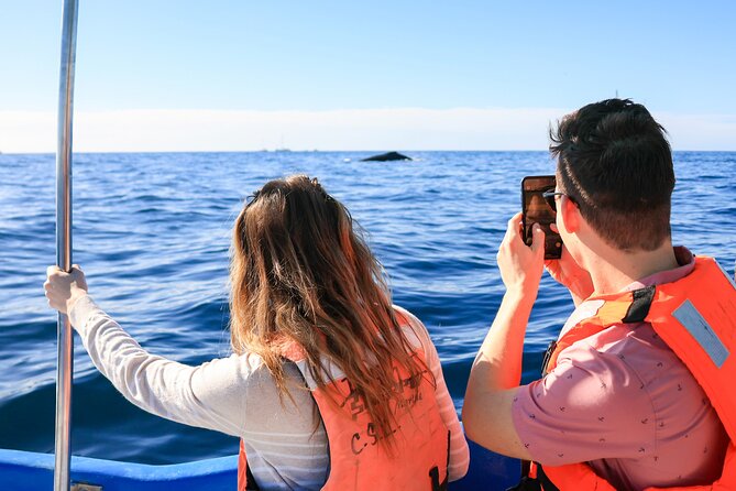 Whale Tour, Arch, Professional Photos & Hydrophone - Professional photos: included, but know what you’re buying