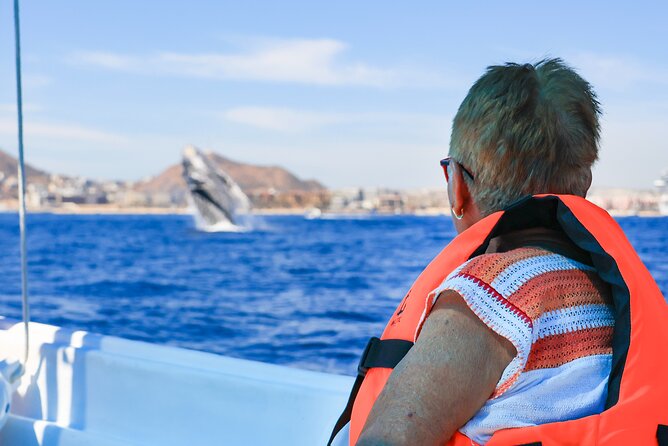 Whale Tour, Arch, Professional Photos & Hydrophone - Cabo’s Arch stop: why this matters for your photos and your route